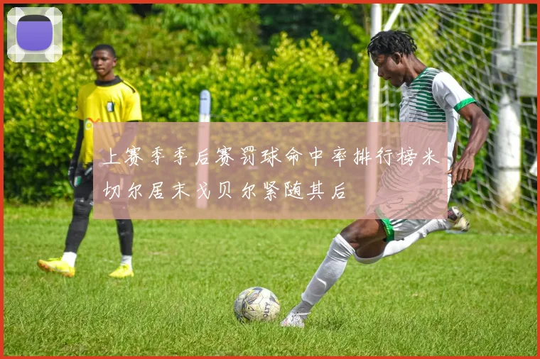 上赛季季后赛罚球命中率排行榜米切尔居末戈贝尔紧随其后